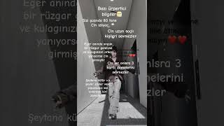 Şfetbeniöneçıkar Şfet