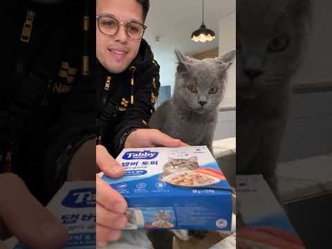 cat prank check my Instagram to see more videos like this. @nadi.rec