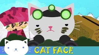 Cat Face  Urban Fox