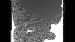 Two component reaction-diffusion model (Gray-Scott)