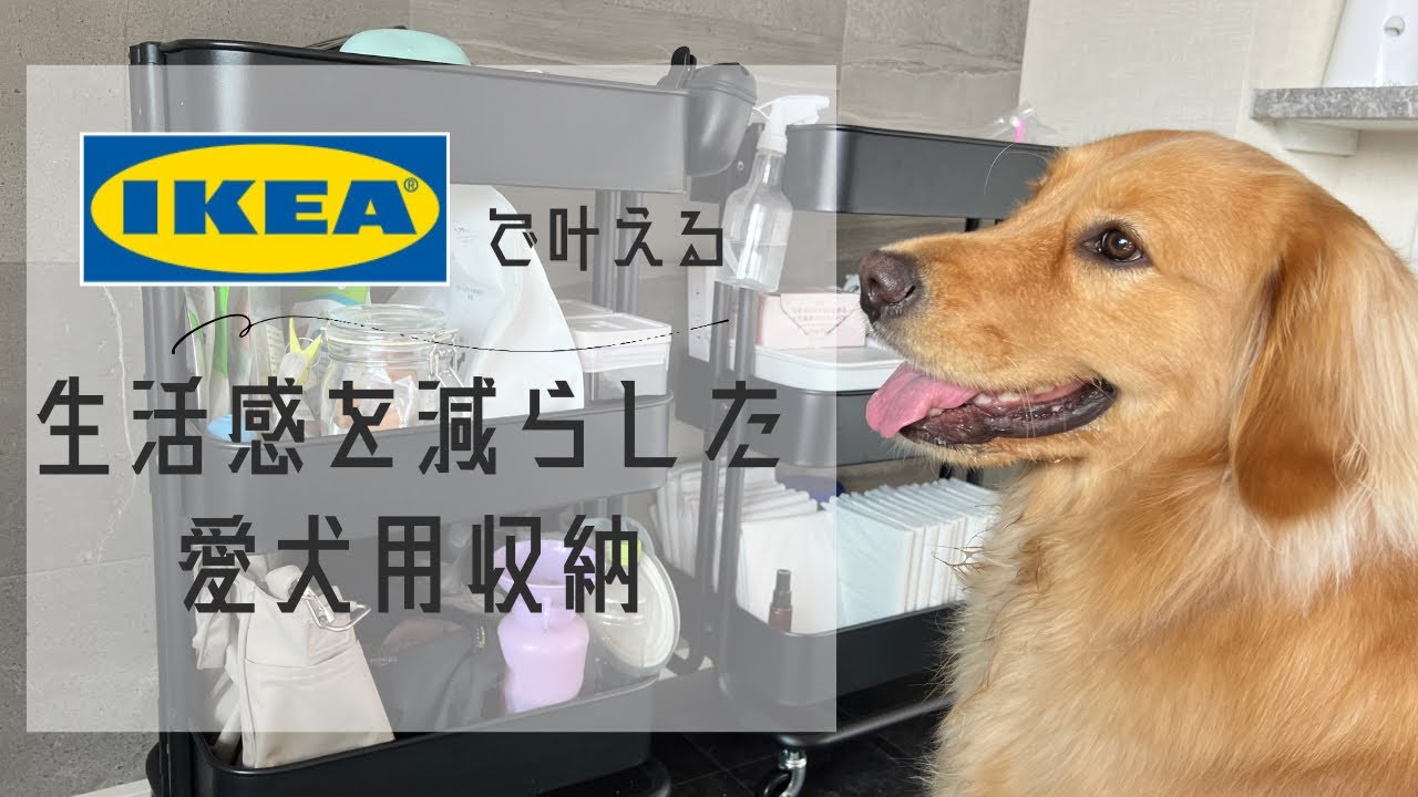 【収納】毎日使うグッズやお気に入りオヤツなど全てご紹介🐾生活感をなるべく抑えた収納に！