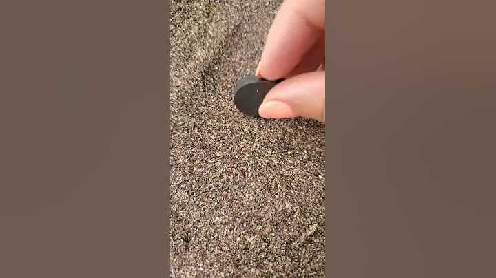 FUN THING TO DO ON THE BEACH! SEARCH FOR MAGNETITE! #shorts #beach #summer