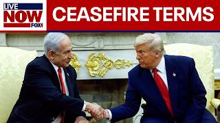 Israel agrees to framework for ceasefire in Gaza, Trump says | LiveNOW from FOX