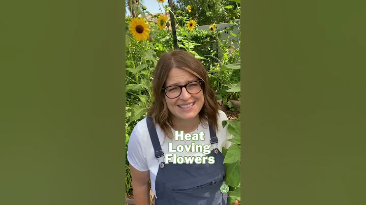 HEAT Loving FLOWERS - DayDayNews