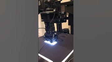 Scanning negatives with EOS R, Auto Bellows, Canon Slide Duplicator & 50mm FD Macro lens