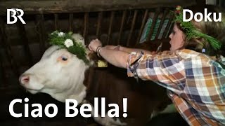 Bella auf der Alm 4/4: Abschied von der Hütte | Doku | BR | Berge | Landwirtschaft | Jobtausch
