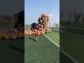 Sauvez le teckel pig sur le terrain de football douyin assistant popular coproduction creative