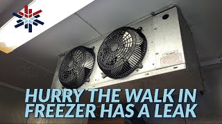 hurry the walk in freezer has a leak