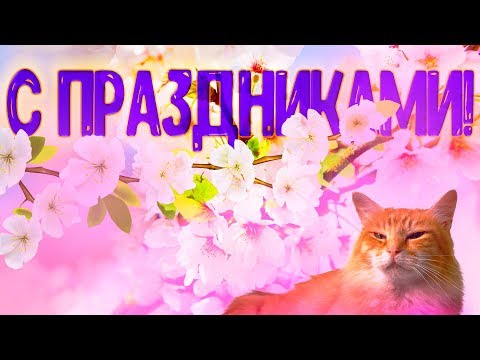 Видео: С ПРАЗДНИКАМИ!!!