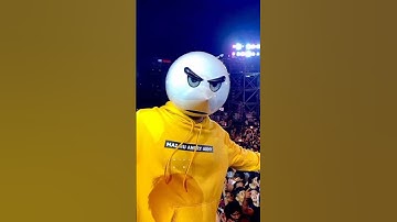 Rg bucket list vs angry prash #rgbucketlist #vs #angryprash #bestedit  #shorts