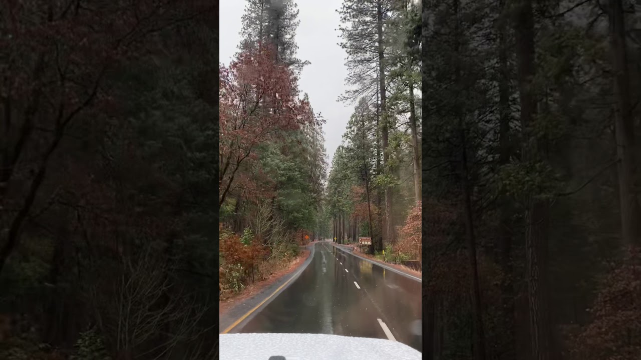 Yosemite In Rain December 2020 YouTube