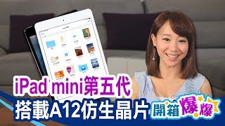 【iPad mini 5】等了四年開箱囉iPad mini第五代效能大提升
