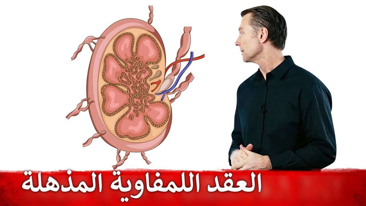 العقد اللمفاوية والجهاز المناعي وماهي أكبر عقدة لمفاوية بالجسم لا نعلمها