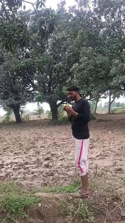 fresh mango live watch