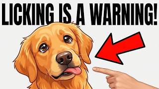 If Your Dog Licks You Too Much… It’s NOT What You Think
