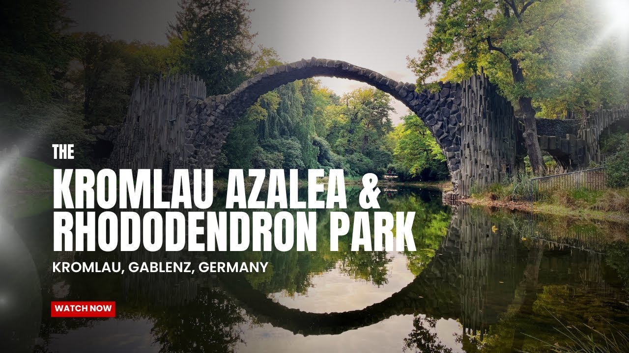 Kromlau Azalea and Rhododendron Park | Germany