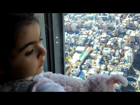 וִידֵאוֹ: מה גובהו של מגדל הטלוויזיה סקיי טרי של טוקיו