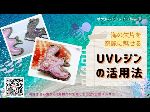貝殻を可愛く魅せる海レジンの作り方】🐚ポケ海ハンドメイド - YouTube