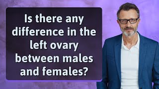Is there any difference in the left ovary between males and females?