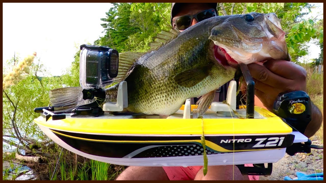 I CAUGHT A BASS BIGGER THAN MY BOAT #fishing #rcboat #video