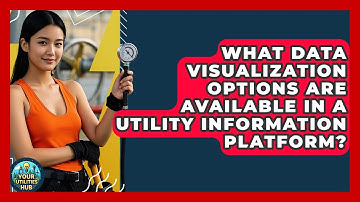 What Data Visualization Options Are Available in a Utility Information Platform?