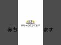 なんでも許せる方のみご視聴ください…# ﾒﾁｬﾊﾞﾌﾞ~