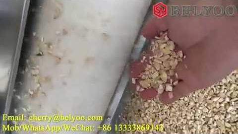 Nut chopper|Nut chopping machine|Almond chopper|Commercial nut chopper|Peanut chopping machine