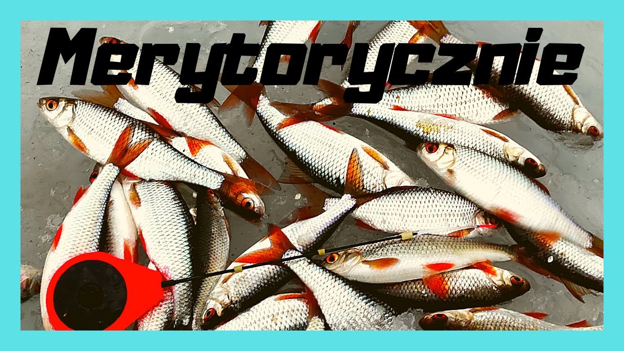 Łowienie Płoci Z Lodu