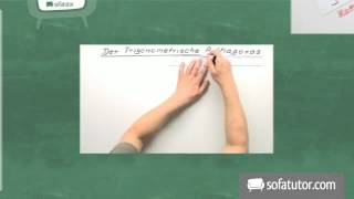 Koevolution leicht erklärt | Biologie | Evolution