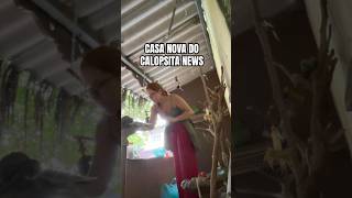CASA NOVA DO CALOPSITA NEWS! 🏠.. #calopsitanews #calopsita #viveiro #calopsitas #calopsitabrasil