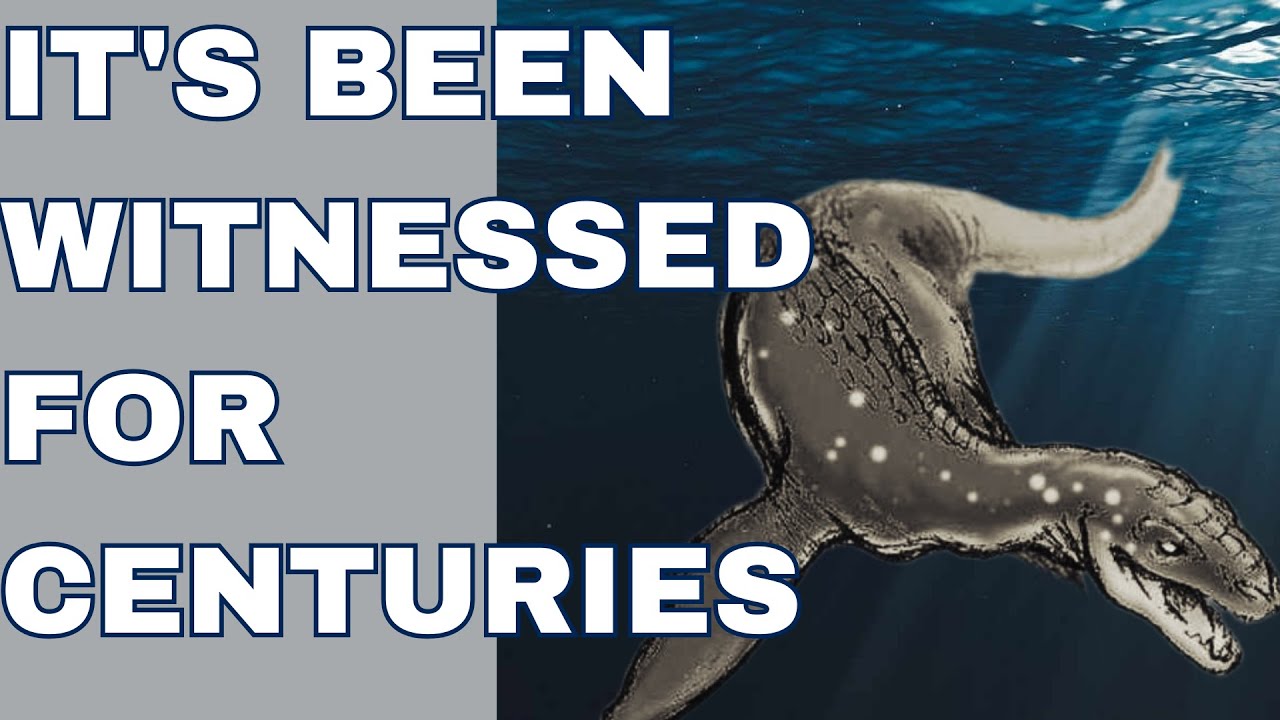 River Monster The Legend of Altamahaha (Altie) YouTube