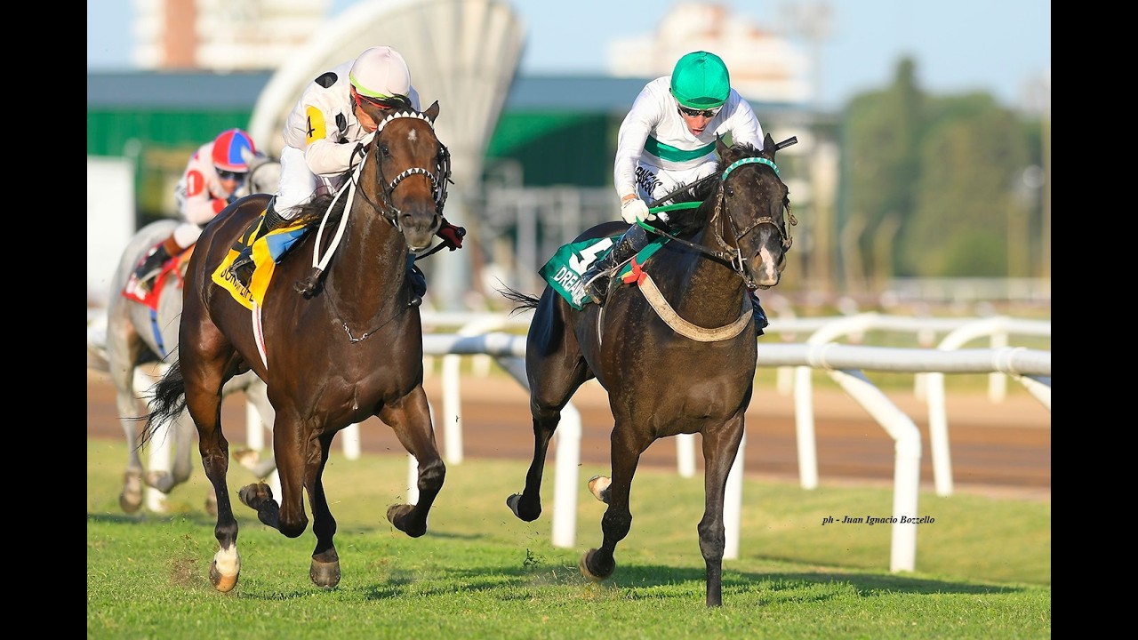 Clásico Ricardo, Ezequiel y Ezequiel M. Fernandez Guerrico (G2) 2026 - Lessons of Life (Le Blues)