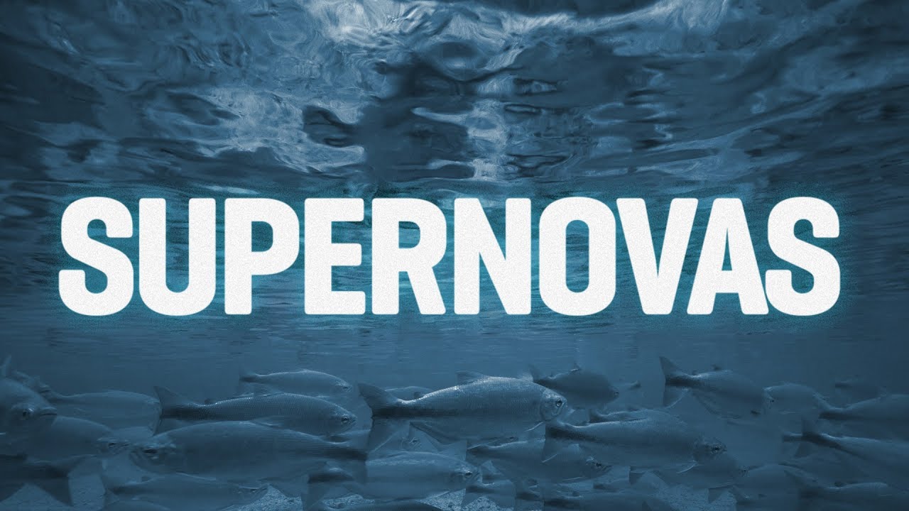 Os peixes estão perdendo o olfato — e a culpa é nossa - SUPERNOVAS curiosidades de cuba