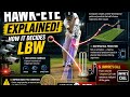 Hawk-Eye Explained in Cricket 🏏 | How LBW Decisions Really Work | Umpire’s Call Mystery