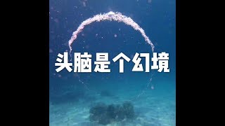 201604 头脑是个幻境21782
