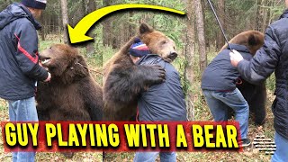 Guy Playing With a Bear as They Have a Friendly Wrestle  Mini Game