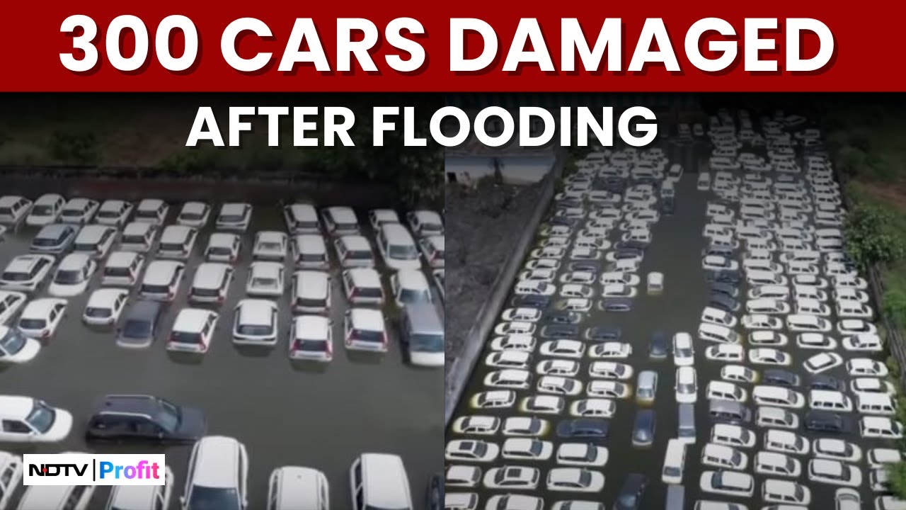 Maruti Stockyard Flooded In Haryana; 300 Cars Damaged Due To Waterlogging | Floods News Today