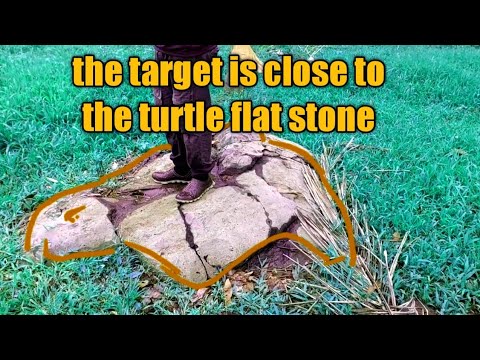 Flat Stone Turtle Shell the target is close the turtle flat stone - YouTube
