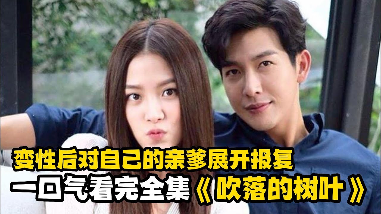 一口气看完复仇泰剧《吹落的树叶》，母亲车祸身亡男孩变性后展开报复