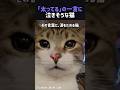 「太ってる」の一言に泣きそうな猫