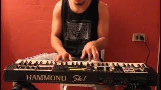 ( Carlos Arruda ) Roots Rock Reggae - HAMMOND SK1