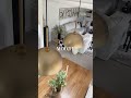 Neutral, earthy, organic and moody home full of affordable finds! #homeinspo #amazonhome #diyhome