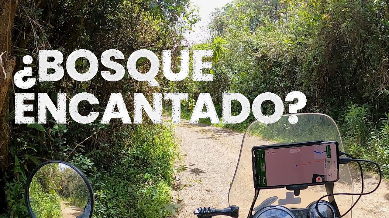 Bosque encantado cerca de Cuenca Ecuador AGUARONGO YouTube