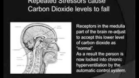 Chronic Hidden Hyperventilation - The 21st Century Epidemic?-VideoWrap.mp4