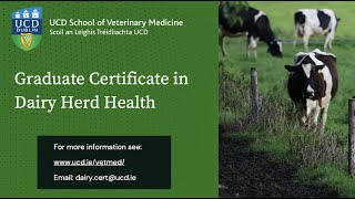Graduate Certificate In Dairy Herd Health - Alumni Testimonial - Doreen Corridan