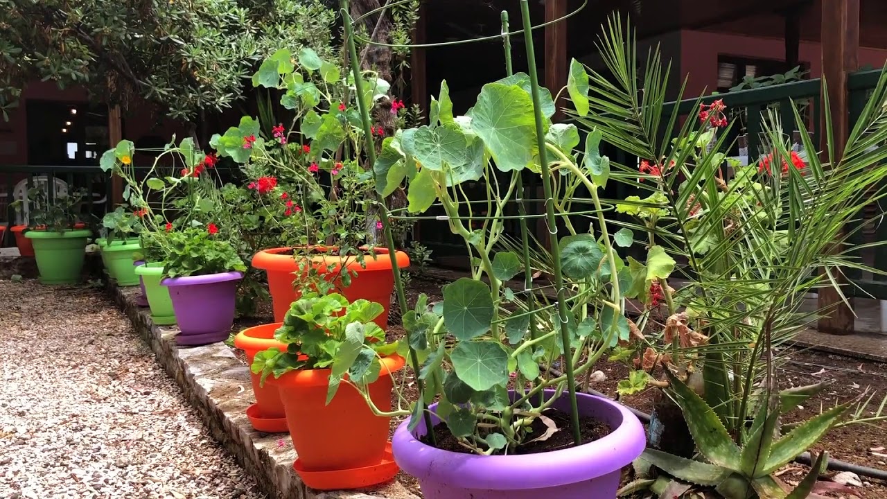 Posidon Camping Iria - Argolida Greece