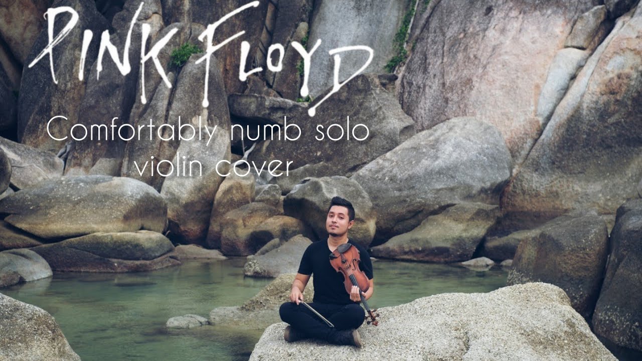Pink floyd Comfortably numb solo violin cover