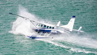 Cessna Caravan Seaplane crashes next to the cruise ship I'm on in PortMiami.