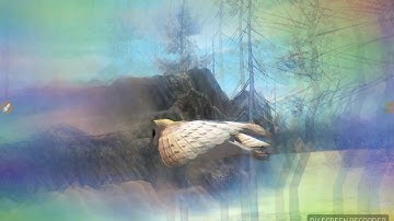 Ultimate Bird Simulator Trailer +WORST QUALITY EVER