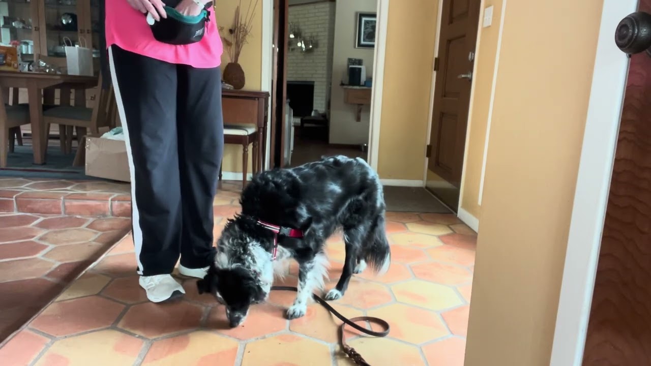 Warm Up and Luring Side By Side